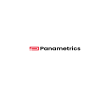 Panametrics Limited