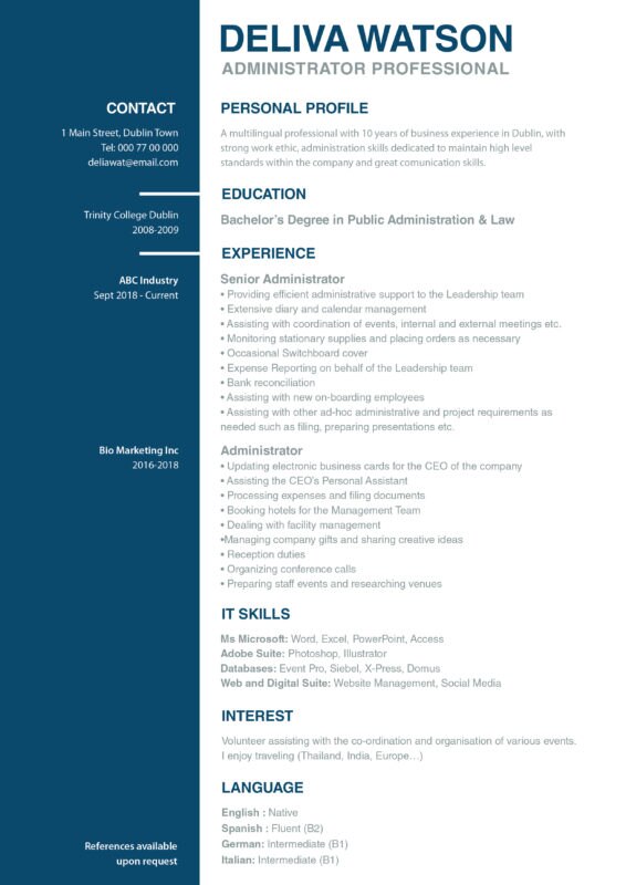 CV TEMPLATE 01 image IrishJobs Career Advice