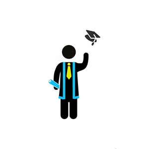 Write a phd cv