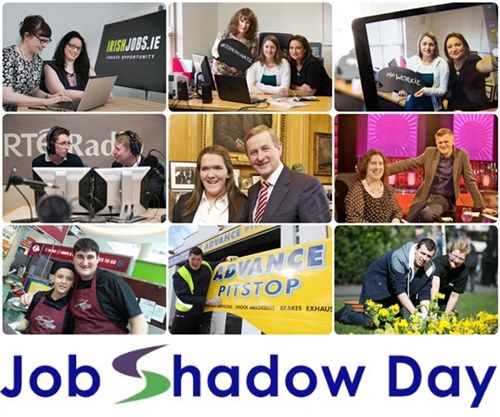 job shadowing