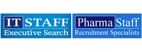 IT Staff Executive Search